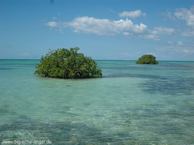 Saona (26).JPG